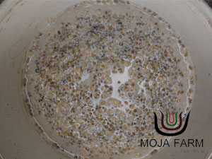 ปุ๋ยยูเรียน้ำสูตรเกษตรอินทรีย์