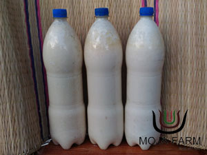 ฮอร์โมนนมสด