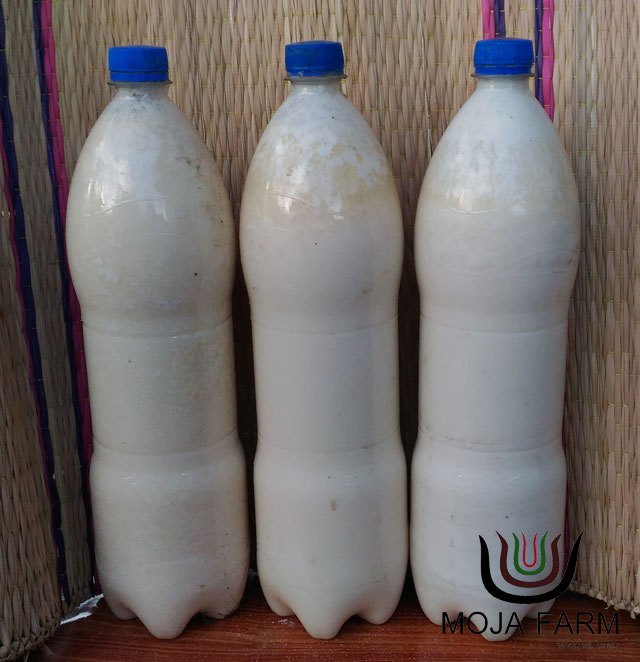 ฮอร์โมนนมสด