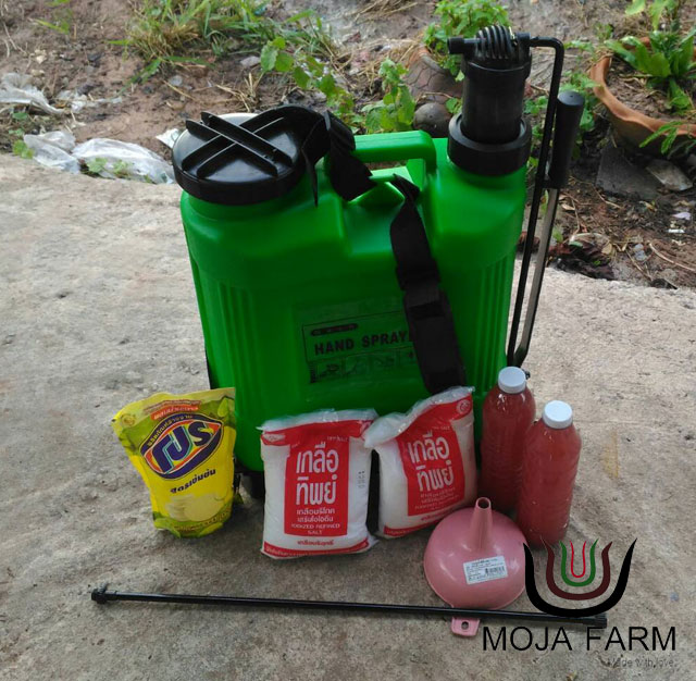 ยาฆ่าหญ้าชีวภาพ ปลอดสารเคมี ปลอดสารผิด