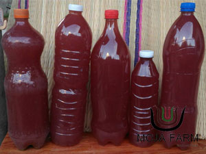 จุลินทรีย์สังเคราะห์แสง