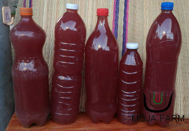 จุลินทรีย์สังเคราะห์แสง